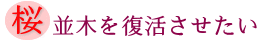 桜並木を復活させたいの画像