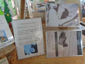 たぬきの足跡がそのまま凍っていました