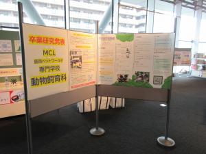 卒業研究パネル